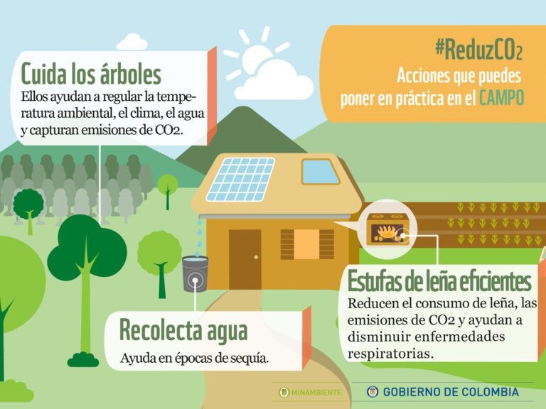 acciones diarias y su impacto ambiental