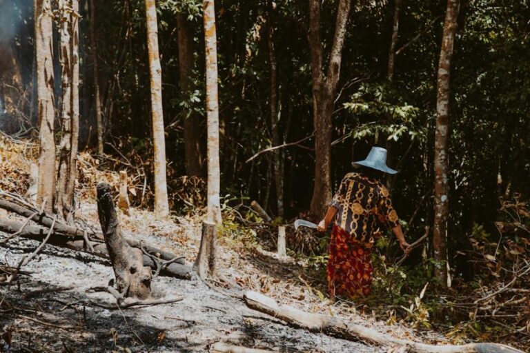 actividades humanas impactando el medio ambiente