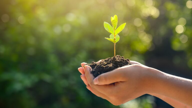 alternativas sustentables en la vida diaria