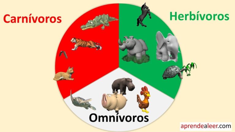 Qué tipos de animales existen según su clasificación por la alimentación 27 animales herbivoros carnivoros y omnivoros
