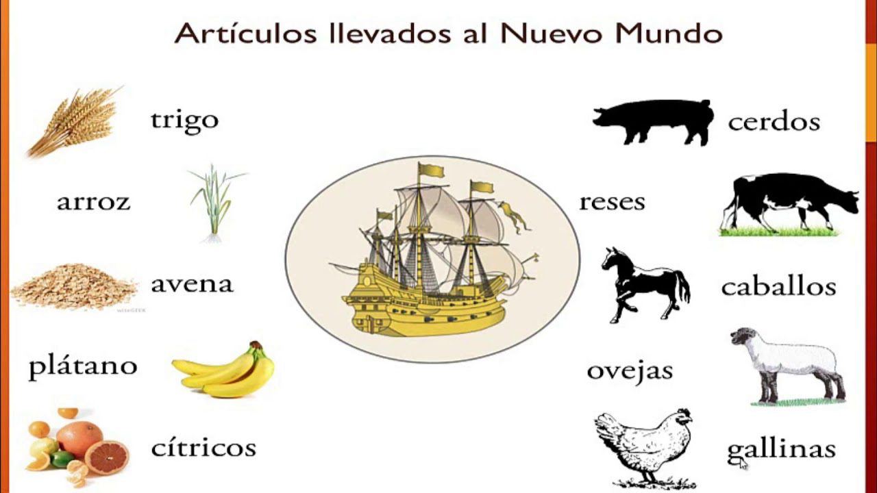 Qué animales introdujeron los españoles en América durante la conquista