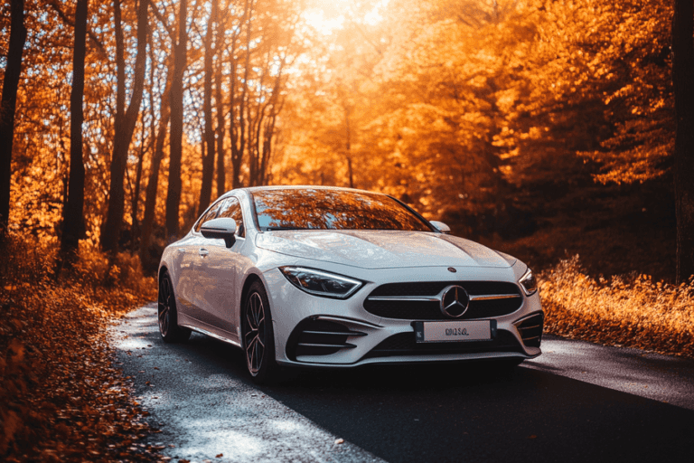 auto usado en un entorno natural