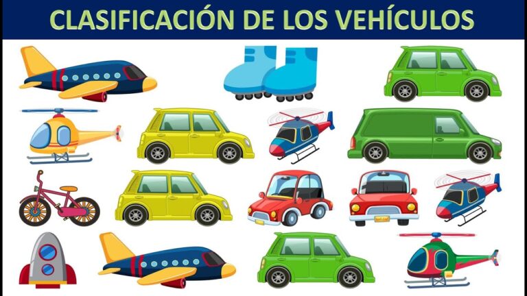autos de diferentes categorias de transporte