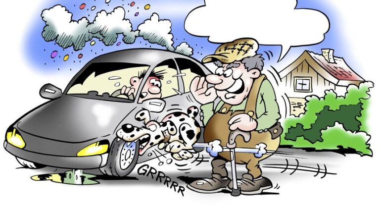 autos divertidos en situaciones graciosas