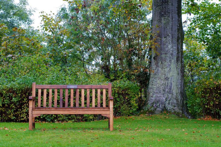 Cómo elegir las mejores banquitas para jardÃn que se adapten a tu espacio 13 banquitas de jardin en ambiente natural