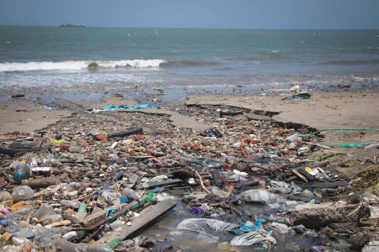 basura acumulada en un paisaje natural 1