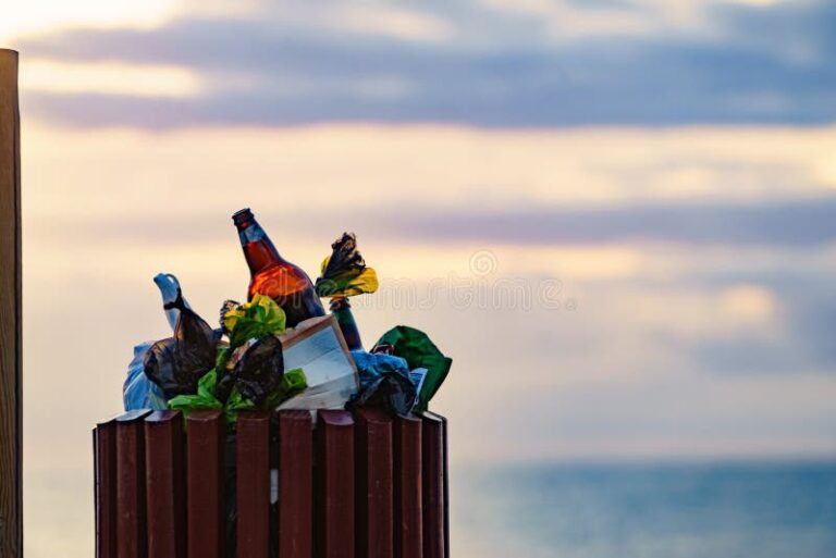 basura en contenedor con paisaje limpio