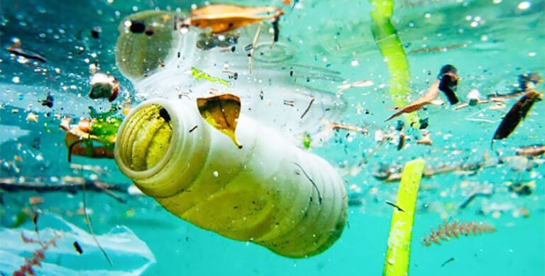 basura en la naturaleza y reciclaje