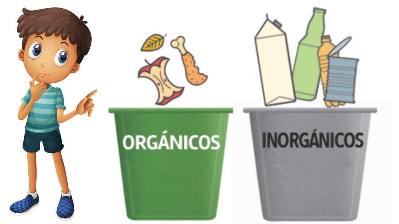 Cuál es la diferencia entre basura orgánica e inorgánica en el reciclaje