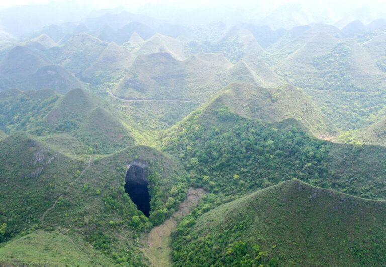 bosque frondoso con rios contaminados