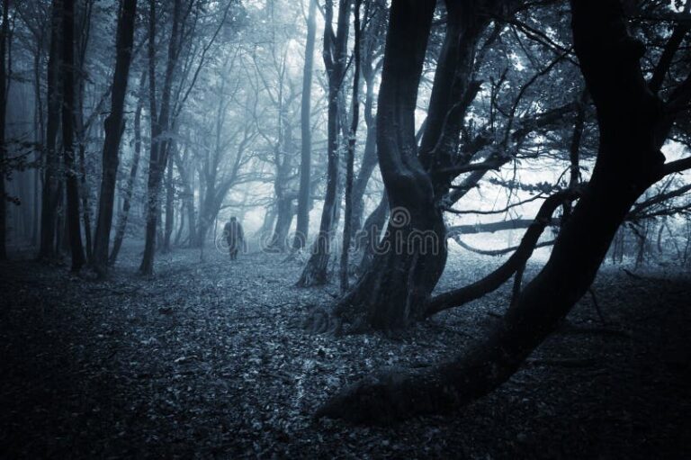 Qué tipo de música se asocia con un bosque tenebroso 8 bosque oscuro con neblina y sombras