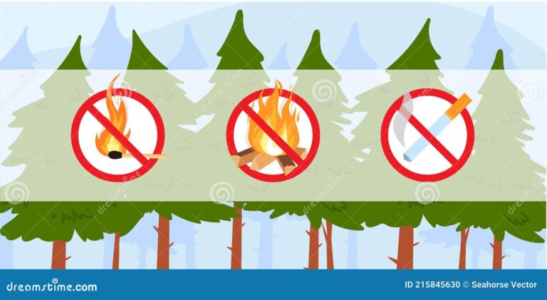 bosque verde con senal de prevencion de incendios