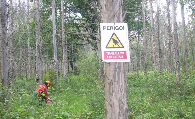 bosque verde con senalizacion de prevencion