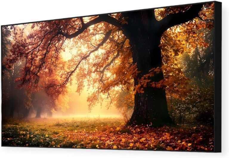 bosques vibrantes en un paisaje natural
