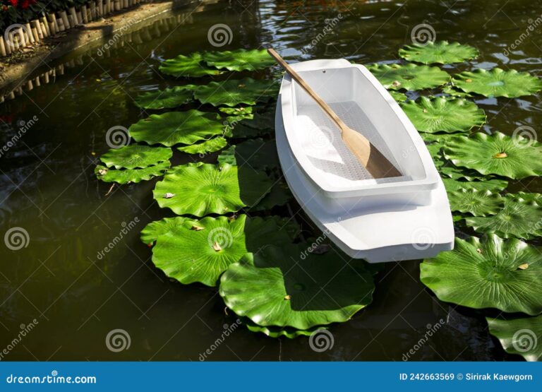 Qué son los botes de cuatro hojas y cómo se utilizan en la pesca 20 bote de cuatro hojas en un lago