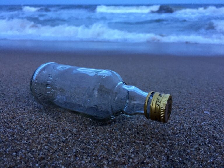 Dónde encontrar la mejor botella de agua azul para tus actividades 5 botella de agua azul en la naturaleza