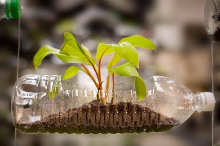 botellas de pet recicladas en la naturaleza