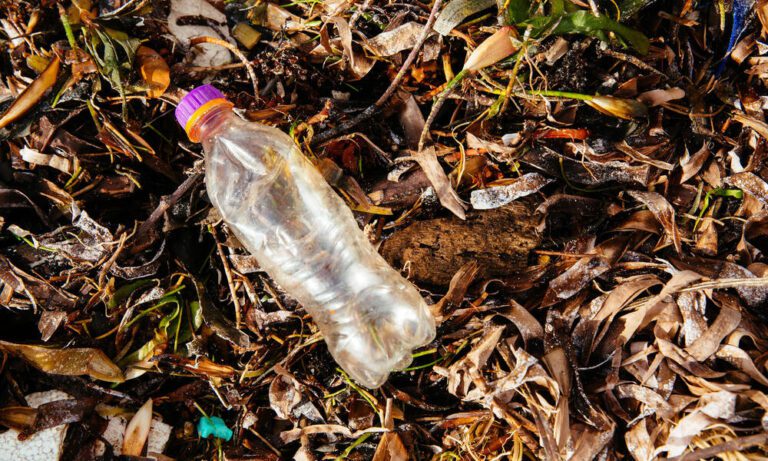 botellas de plastico en la naturaleza