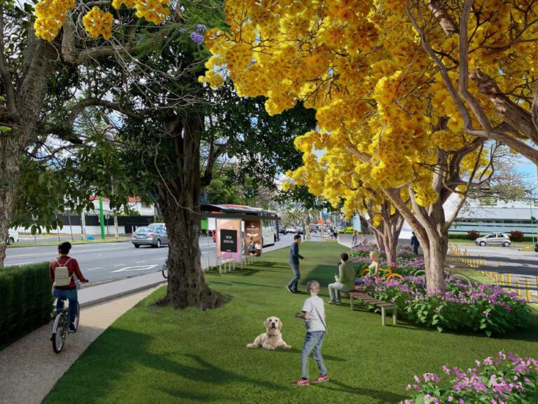 Qué boulevares visitar en Naucalpan de Juárez, México 9 bulevar con arboles y ambiente urbano