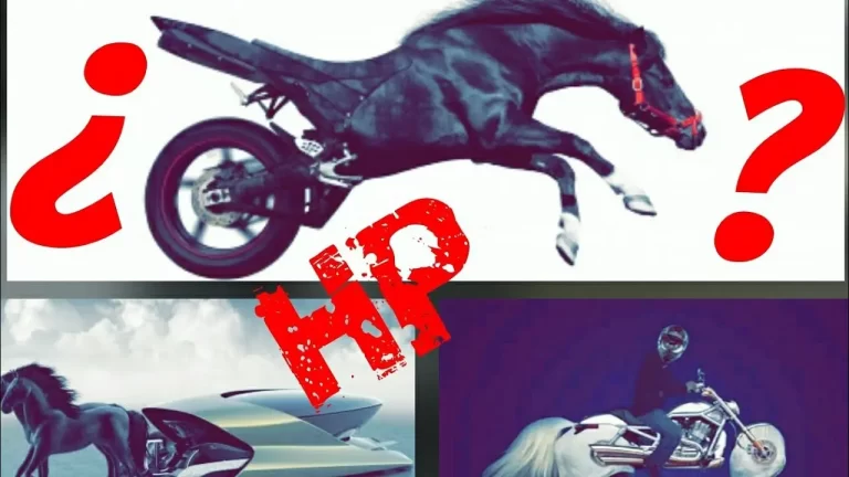 caballo de fuerza y velocidad en accion