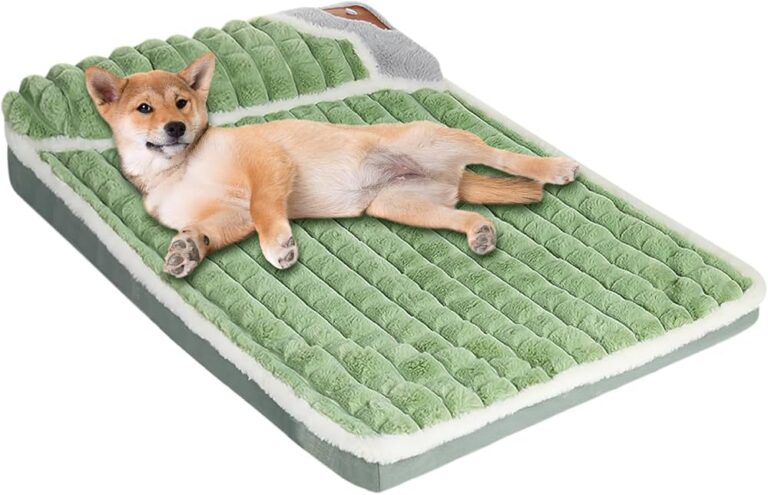 Dónde encontrar la mejor cama para perro en Muebles Dico 21 cama comoda para perro en ambiente acogedor