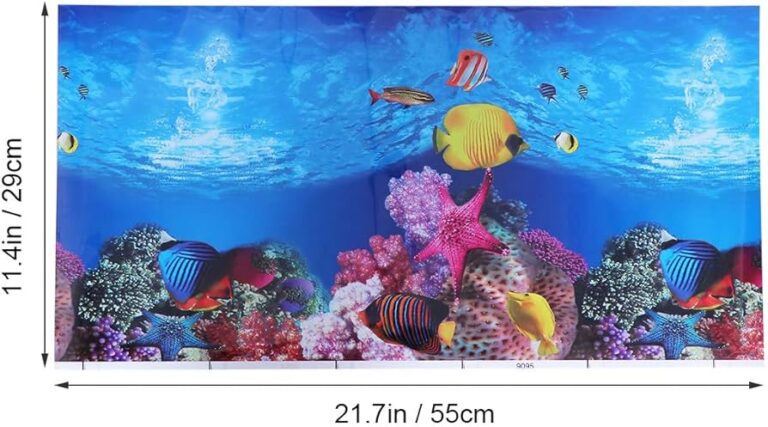 cartel con paisaje acuatico limpio y hermoso