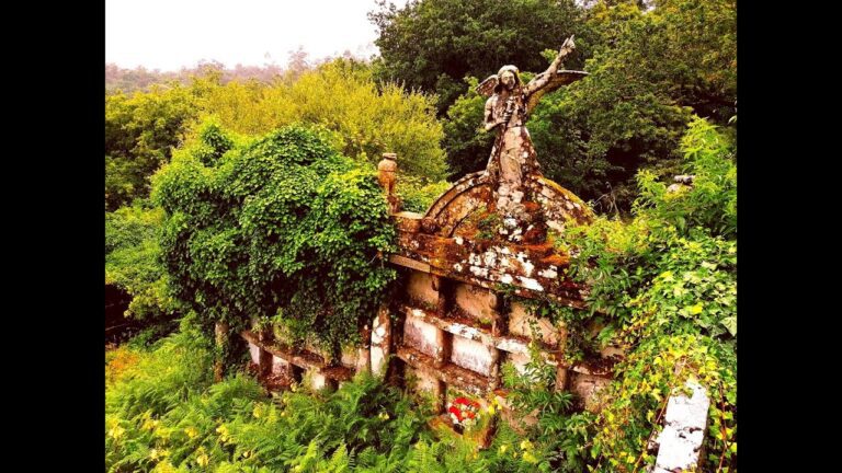 Cómo puedo averiguar si una casa abandonada tiene dueño en Chile 19 casa abandonada con naturaleza crecida alrededor