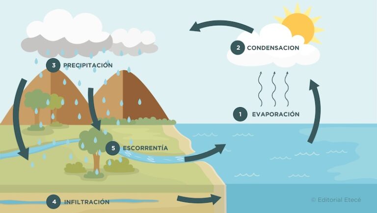 ciclo del agua en la naturaleza 1