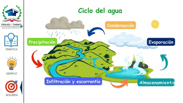 ciclo del agua en naturaleza vibrante