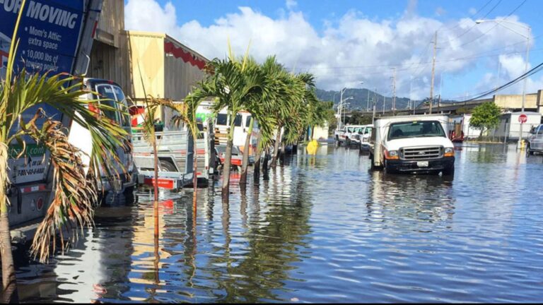 Cómo afecta el incremento del nivel del mar a las ciudades costeras 9 ciudades costeras inundadas por el mar