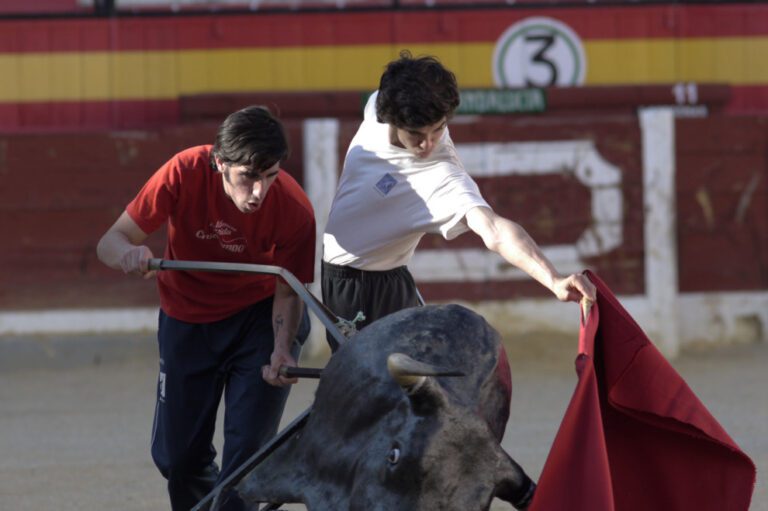 Qué tipos de clases existen para aprender sobre toros bravos 4 clases de tauromaquia en accion