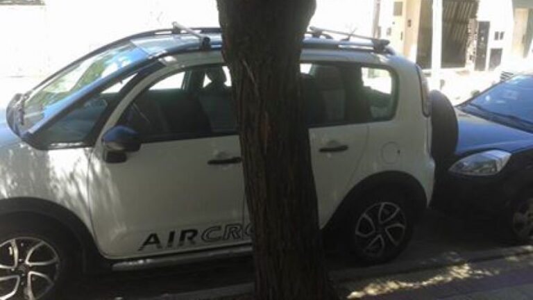 coche bajo sombra de arbol frondoso