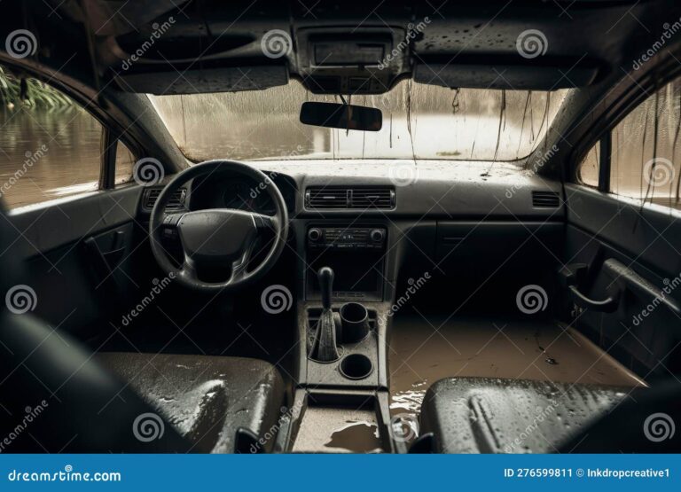 Por qué le entra agua a mi coche y cómo solucionarlo 28 coche con agua en el interior