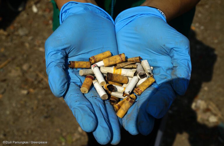 colillas de cigarro en la naturaleza