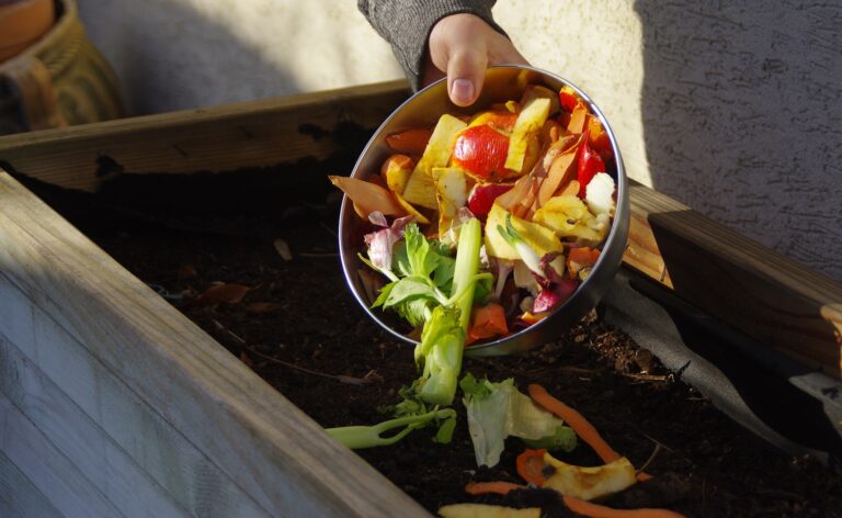 comida en compostera con vegetales frescos