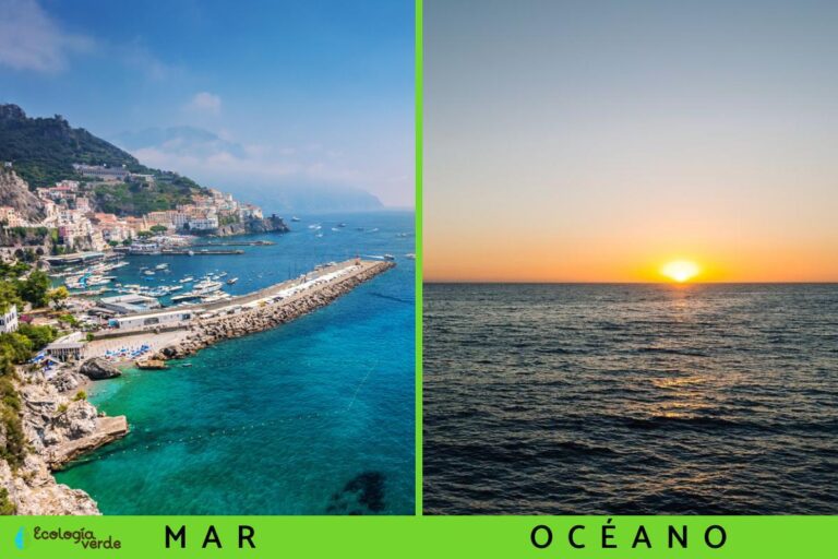 Cuáles son las principales diferencias entre el mar y el océano 17 comparativa entre mar y oceano