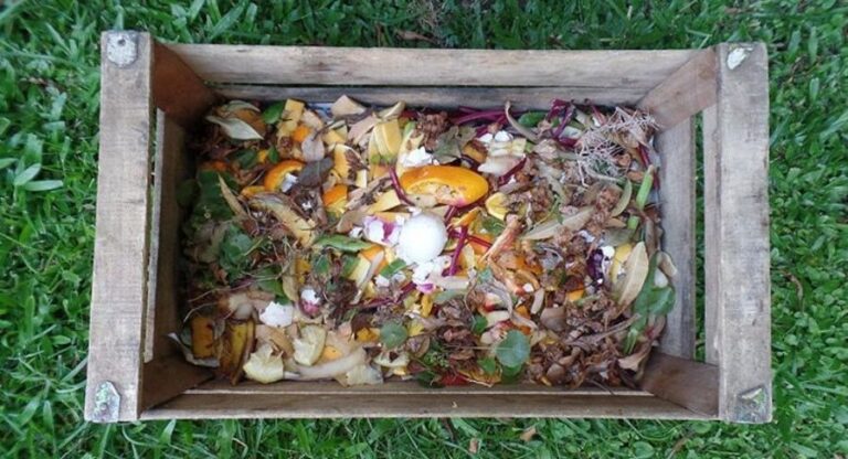 compostera casera con materiales organicos