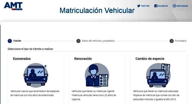 consulta de matriculacion vehicular en linea