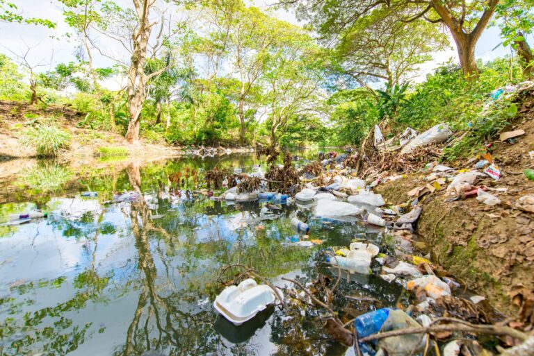 contaminacion del agua en un rio