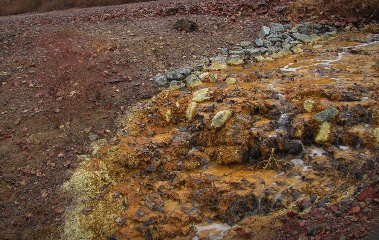 En qué nos afecta la exposición al mercurio en nuestra salud y medio ambiente 17 contaminacion por mercurio en el medio ambiente