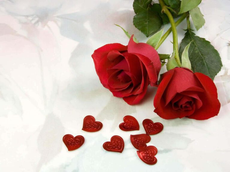 corazones rojos y flores romanticas