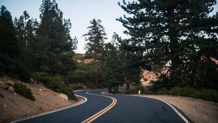 Qué significa la señal de curva cerrada y cómo debe interpretirse 9 curva cerrada en carretera con senalizacion