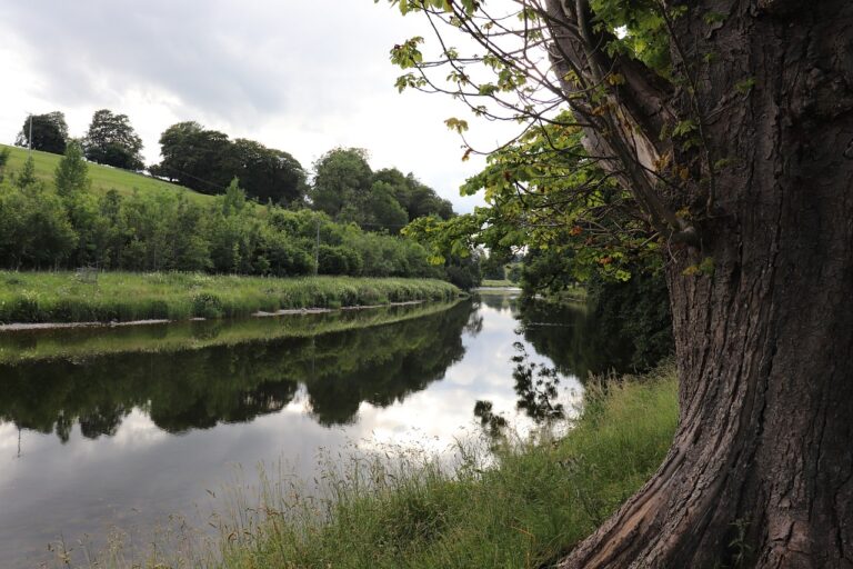 curva de un rio en un paisaje natural