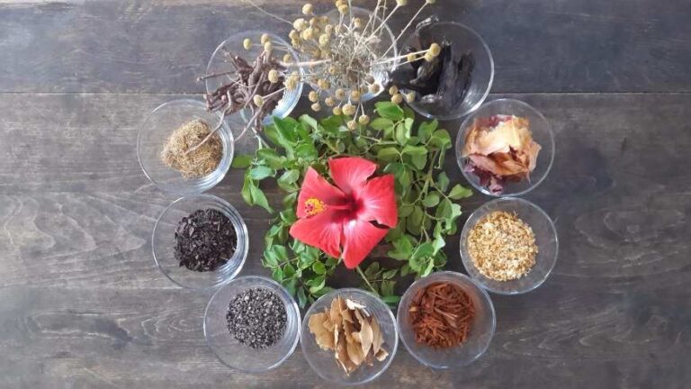 desechos organicos transformandose en colorantes