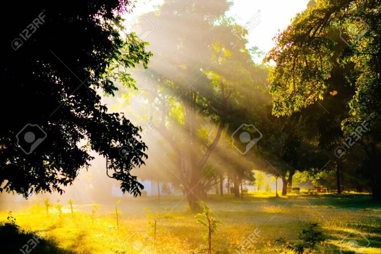 Qué es el destello de sol y cómo afecta nuestra visión 14 destello de sol en un paisaje natural