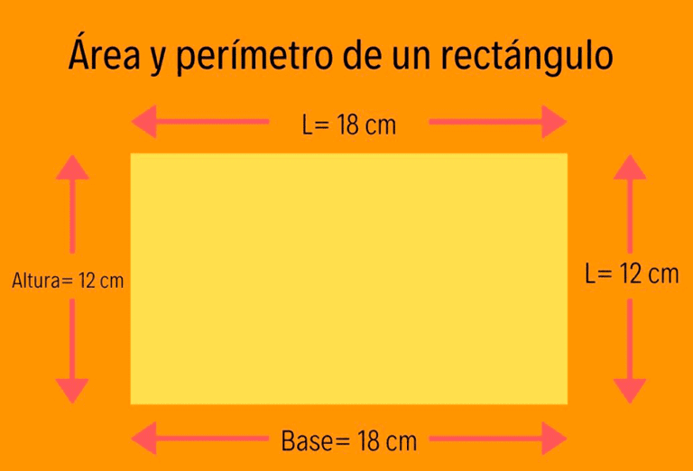 Cuál es la diferencia entre lo ancho y lo largo en geometría 13 dibujo de rectangulos con dimensiones etiquetadas