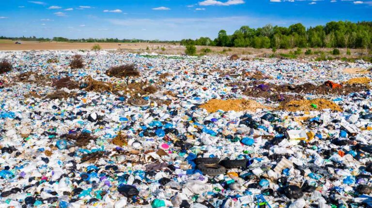 diversas formas de contaminacion en la naturaleza