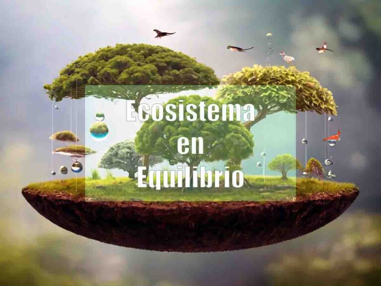 diversidad de ecosistemas en equilibrio natural