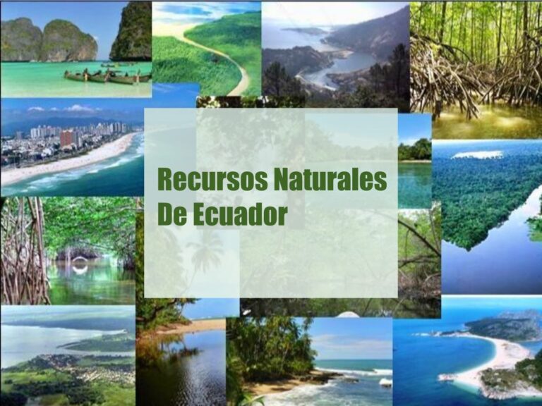diversidad de recursos naturales en la naturaleza