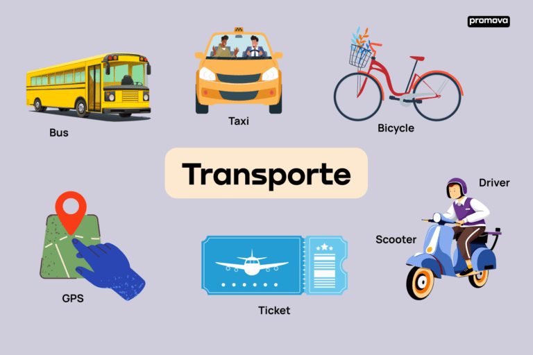 Usted viene con el auto o prefiere otro medio de transporte 1 diversos medios de transporte en una ciudad